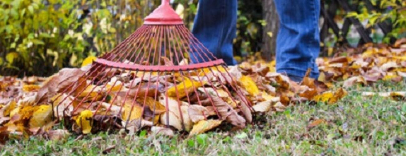 Mini bricolage à Fougères, Liffré et Rennes